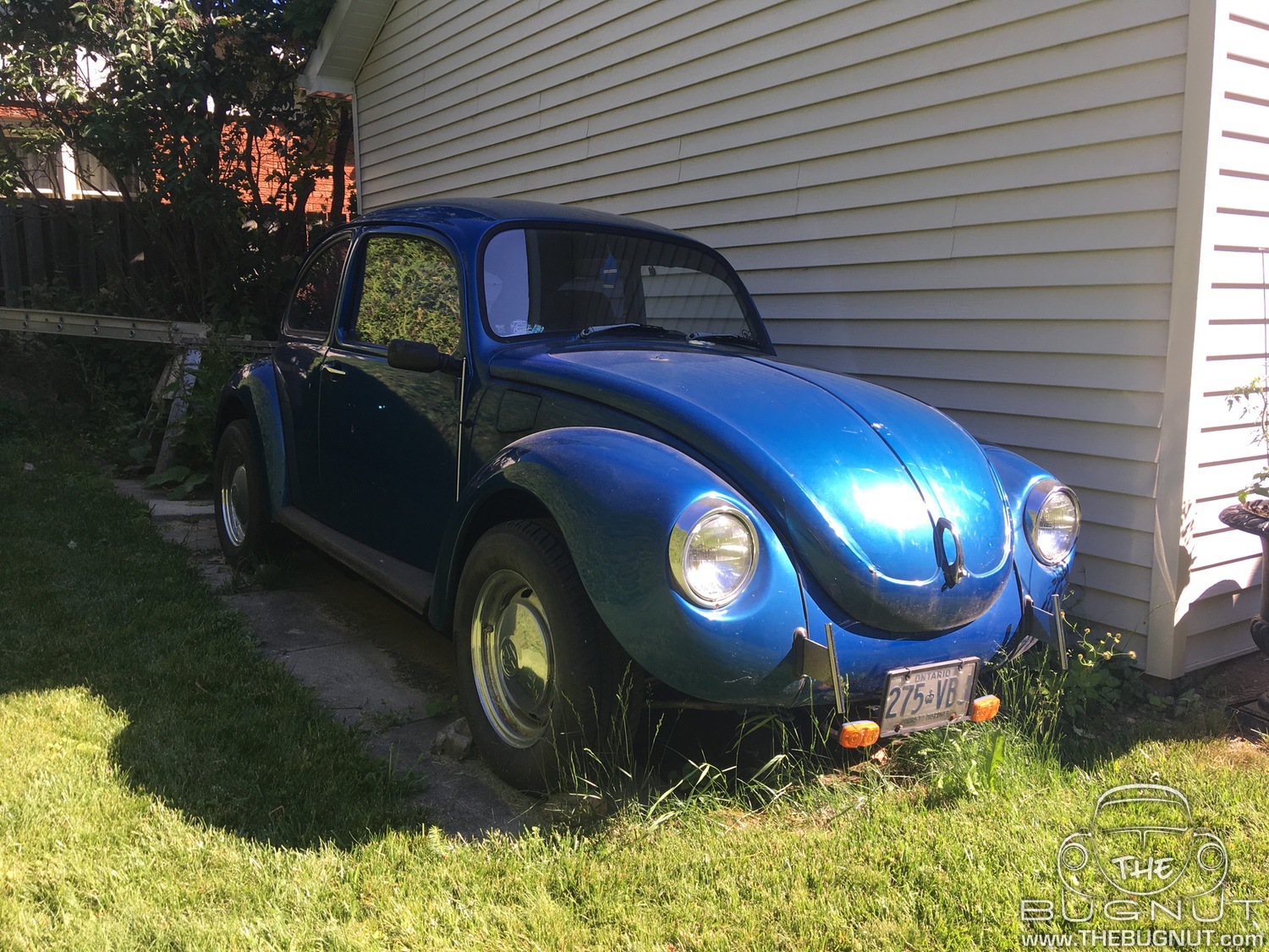 Blue 1971 Super Beetle